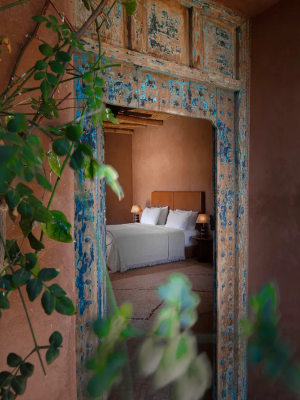 Suite - Photo 1