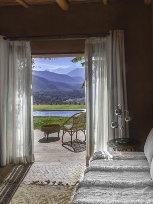 Suite - Photo 3